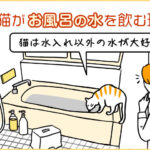 猫がお風呂の水を飲む理由―猫は水入れ以外の水が大好き！